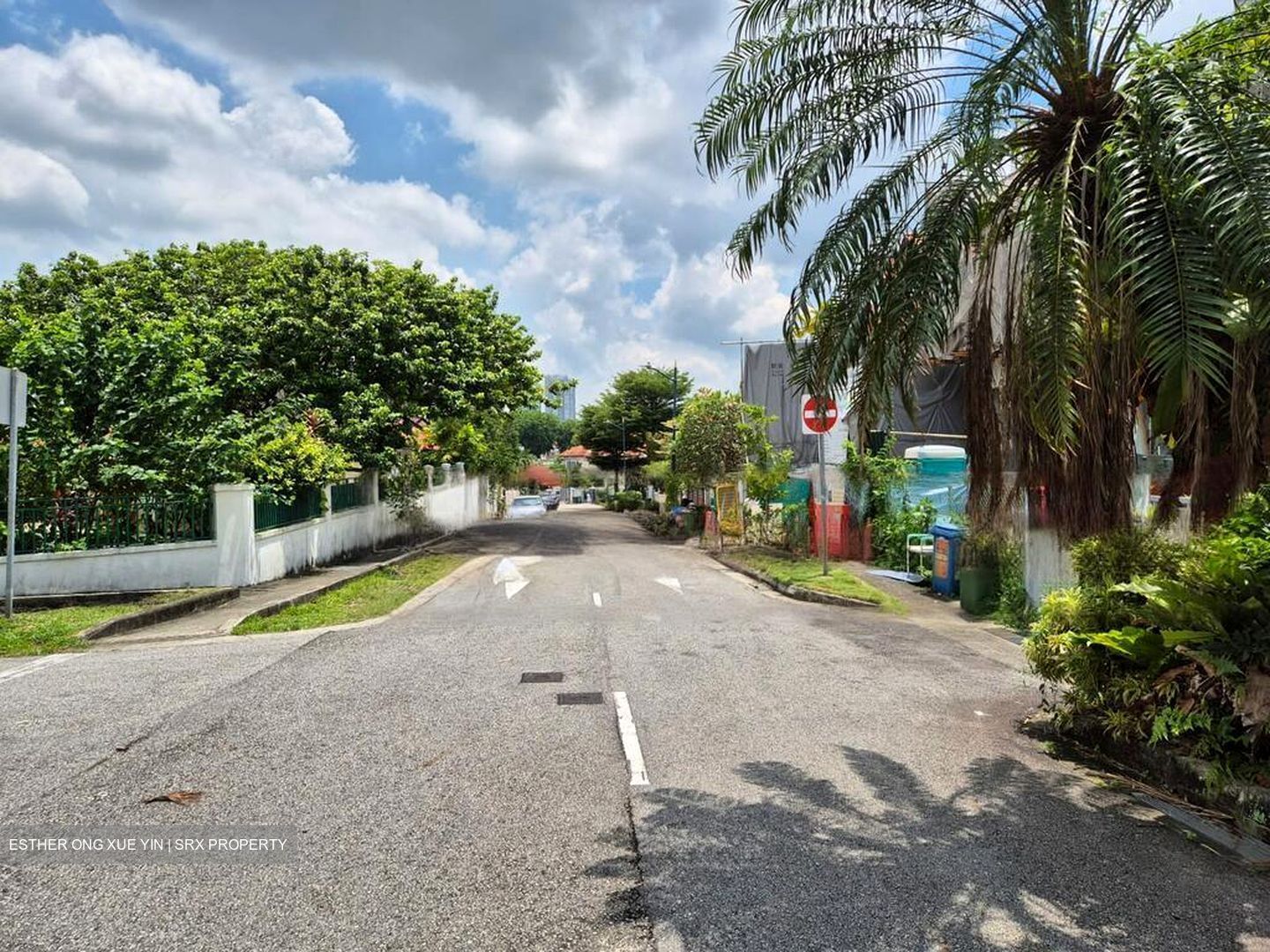Serangoon North Avenue 1 (D19), Semi-Detached #460525201